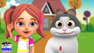 म्याऊं म्याऊं बिल्ली करती Billi Wala Cartoon Nursery Rhymes amp Kids Song for Babies [upl. by Ellevehc]