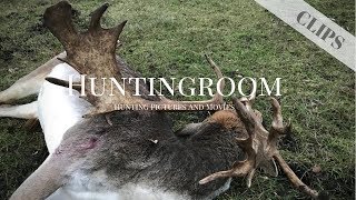 Abnormer starker Damhirsch erlegt  HUNTINGROOM Clips 6 [upl. by Rann805]