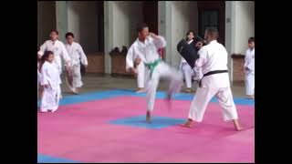 SHORINJI KEMPO KRANGGAN in ACTION 21 freesyle freestyle butterfly [upl. by Esorlatsyrc386]