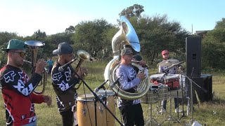 Popurri de Sones En Vivo  La Máxima Banda de Zacatecas [upl. by Colman]