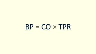 BP  COxTPR • Blood Pressure ✓ Biophysics of Blood Flow [upl. by Ettenyar798]