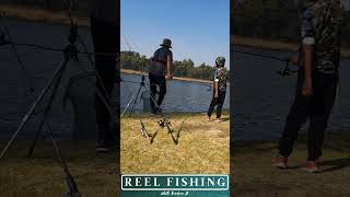 Carp Fishing South Africa 2024shorts fishing [upl. by Eseila]