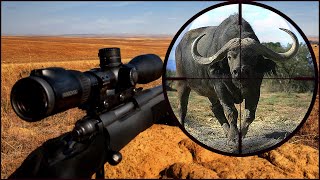 Thinking of Hunting Africa  WATCH THIS [upl. by Jerri335]