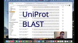 How to Use BLAST for Protein Sequence Analysis UniProt [upl. by Marget]