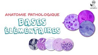 Anatomie Pathologique  Bases élémentaires [upl. by Aerdnaek]