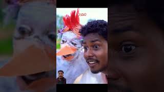 मुर्गा VS मुर्गी Fight  Comedy Video  The Comedy Kingdom [upl. by Micaela]