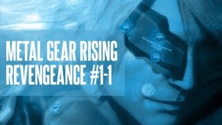 Metal Gear Rising Revengeance 11 Rules of Nature [upl. by Heyward649]