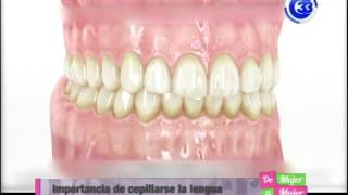 IMPORTANCIA DE CEPILLARSE LOS DIENTES [upl. by Map]