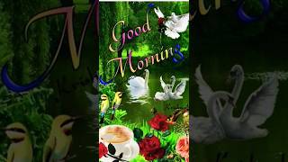 Good Morning Status Video WhatsApp Status Video Good Morning 16112024 [upl. by Heuser610]