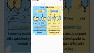 Difference between purine and pyrimidine baese [upl. by Frederich]