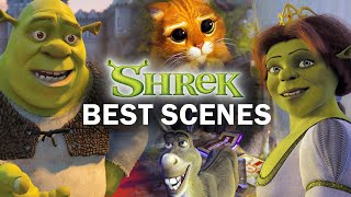 Shrek  Live Action [upl. by Yrehc99]