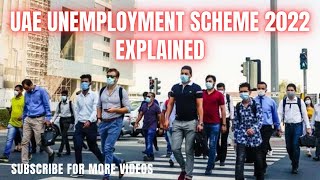 New UAEUnemployment insurance scheme How it will help workers  Employment laws  Mexcreationtv [upl. by Lertnahs]