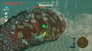 The Legend of Zelda Breath of the Wild on Yuzu Android  Molduking Hunt [upl. by Grosberg]