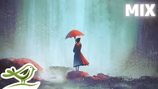 Beautiful Piano Music Vol 3  Relaxing Music for Sleep amp Relaxation by Peder B Helland [upl. by Mungo]