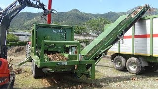 PTT 20001200 Pezzolato grinding for roots whole trees slash stumps driven by 260 Hp tractor [upl. by Cummins]