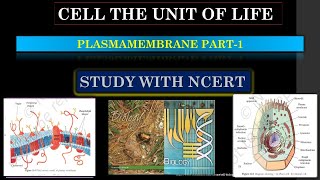 PLASMA MEMBRANE  INTRODUCTIONPART1 11th BIOLOGY NEET neet biology ncert neetexam [upl. by Aititel215]