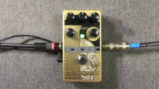 Catalinbread ECHOREC Delay Pedal [upl. by Nafets]