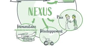 Présentation du Nexus Humanitaire – Développement – Paix HDP [upl. by Lili]