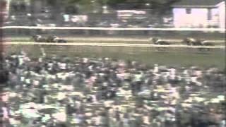 1972 Kentucky Derby [upl. by Yatnohs]