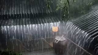 Let Rain amp Thunder Comfort You into Sleep on Metal Roof [upl. by Christmas533]