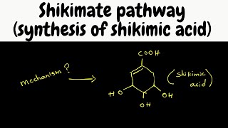 Biosynthesis part 6  shikimic acid synthesis [upl. by Icul289]