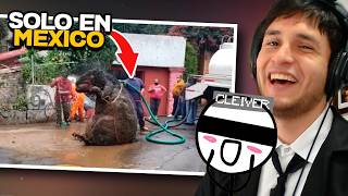 DOUGLAS Y CLEIVER REACCIONAN AL ICEBERG DE MEXICO [upl. by Aikit]