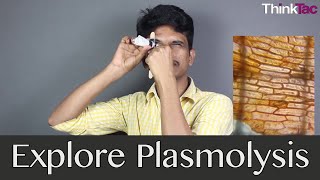 Explore Plasmolysis  ThinkTac  Science Experiment [upl. by Leotie]