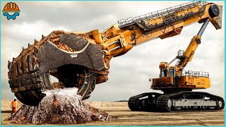 101 Incredible POWERFUL Fastest Big Stump Removal Excavator [upl. by Doowrehs]