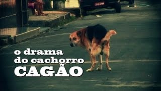 O drama do cachorro cagão [upl. by Elttil490]