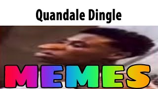 Quandale Dingle Memes [upl. by Oznohpla]