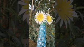 🗣️Watch quotHow to make flower pot at home 💜plastic glass craft ideas  flower vasequot on YouTube diy [upl. by Ycnalc]