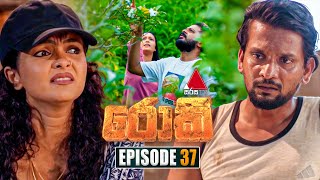 Rocky රොකී  Episode 37  01st October 2024  Sirasa TV [upl. by Remmus539]