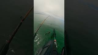 Half moon bay fishing lingcod fishing fyp sports viralvideo [upl. by Aramot]