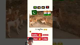 India wali subscribe karo dog Pakistan wale like karo dekhte hain kiska Kitna like aur subscribe [upl. by Ahseyn]