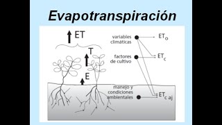 Clase 6 B Evapotranspitación [upl. by Hogg]