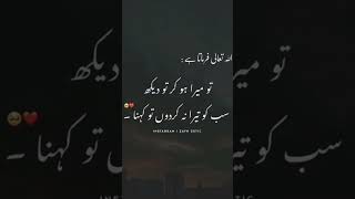 Kabay Ki Ronaq kabay ka manzar ❣️ [upl. by Macdonell]