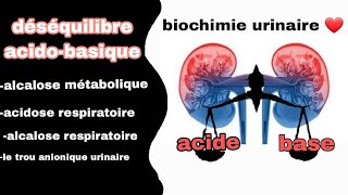 déséquilibre acidobasique  alcalose métabolique et respiratoire acidose respiratoire [upl. by Oicnevuj]