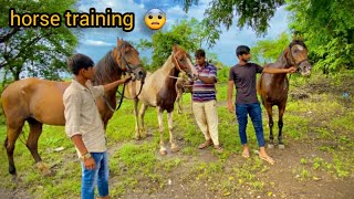 देखिए तिन घोड़ी और एक बच्चा 😮  HORSE Riding  Fast Horse riding [upl. by Everest]