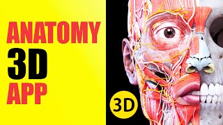 Anatomy 3D Atlas  Best Medical App [upl. by Hazel437]