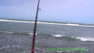 Surf casting in New ZealandPines beach smoothhound [upl. by Chellman]