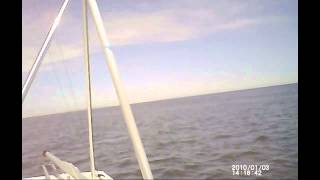 Tagging White Sharks on the Ezyduzit Cape Cod MA [upl. by Catina925]