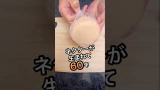 【菓子パンシェルジュ】毎日更新を目指して244日目は 菓子パン ヤマザキ 蒸しパン ネクター 不二家 [upl. by Chui714]