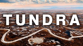 Life in the Tundra  Journey to a Remote Alaskan Village S1E8 [upl. by Nirrak]