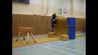 Parkour im Sportunterricht [upl. by Dachi]