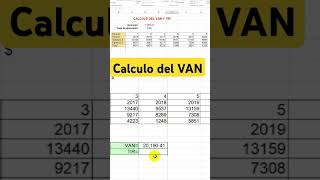 Calculo del van en excel [upl. by Norym]