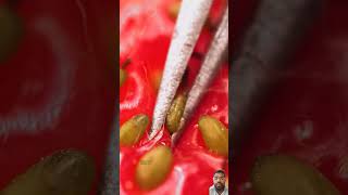 Strawberry seeds close up viewsatisfyingfoodfruitoddlysatisfyingshorts [upl. by Erlond]