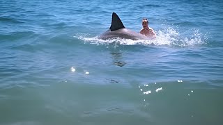 One of The WORST Tiger Shark Attacks in History [upl. by Miguela]