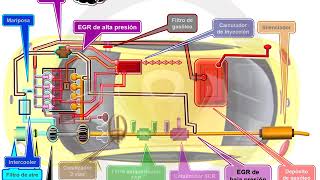 Recirculación de gases de escape EGR en el motor diésel 36 [upl. by Sarilda]