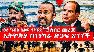 ፀረ ግብፅ ሰልፍ ተካሄደ ኢትዮጵያ ጠንካራ ድጋፍ አገኘች [upl. by Aihselat]