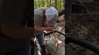 quotMeet the Log Hopper The ultimate log arch for effortless hauling diy welding logging ￼fyp [upl. by Latoniah]